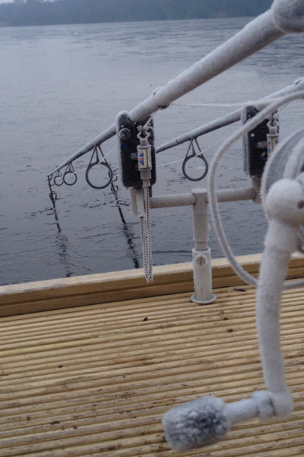 Diverse - 430640101522079980667581458336466n.png